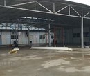 清远钢结构夹层搭建公司,活动房拆除多少钱图片