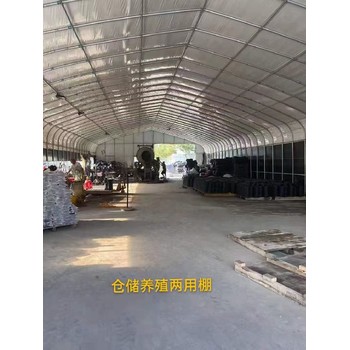 深圳钢结构厂房换瓦-罗湖新建彩瓦棚钢结构厂房