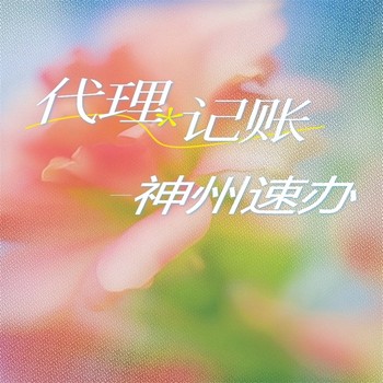 羅湖代理記賬上海價(jià)格
