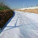 九龍坡土工布廠家大全