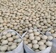 貴州高鋁耐火球售價(jià),高鋁質(zhì)耐火球規(guī)格