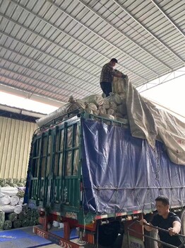 佛山到呼和浩特長途貨物運輸價格