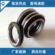 防腐蝕DFCZ化工泵圖