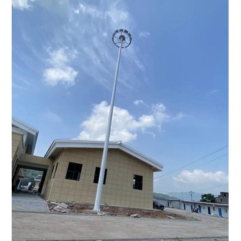 蘇州路燈桿廠商