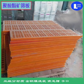 池州磚廠用聚氨酯篩網(wǎng),聚氨酯篩網(wǎng)