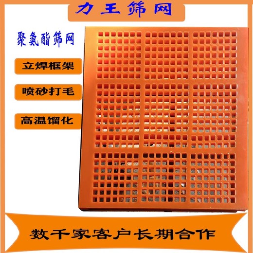 龍巖銷售聚氨酯篩網(wǎng),聚氨酯篩網(wǎng)廠家