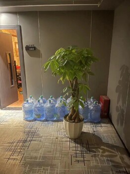 南川桶裝水加盟-怎樣桶裝水加盟