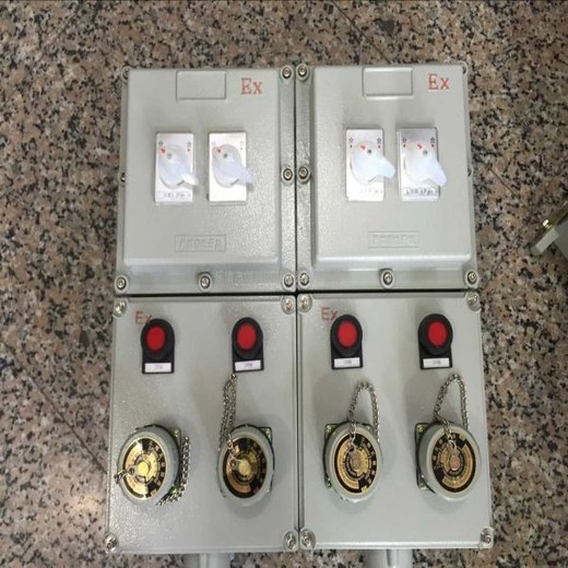 防爆配電箱裝配電箱廠家