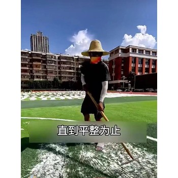 化州市足球场运动场草坪石英砂填充