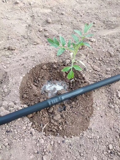 山東多功能沁科源滴灌帶型號