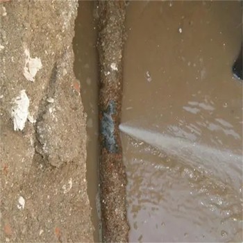 撫順地熱主管漏水點檢測