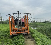 盐城污染场地地质灾害危险性评估价格,水资源论证