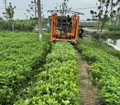 靖江市地质测绘,工程测绘