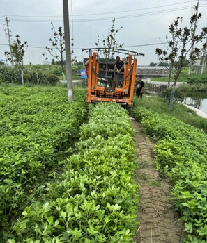 泰兴市环境地质勘查多少钱,水文地质勘查