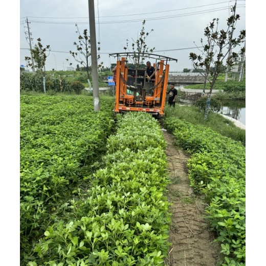 泰兴市工程测量价格,无人机测量