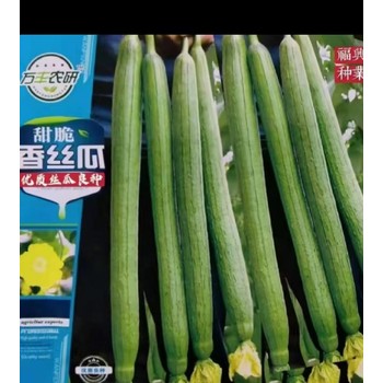 深圳坪山工廠蔬菜批發配送,糧油配送價格