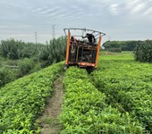 兴化市工程测量报价,工程测量甲级