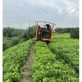 无锡工程测量价格,工程测量甲级