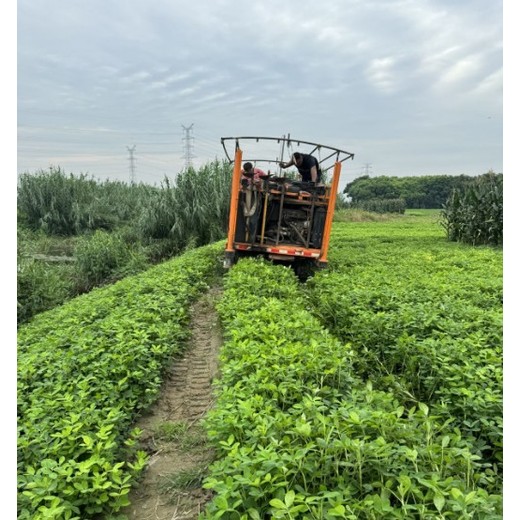 淮安深基坑设计收费,岩土工程设计