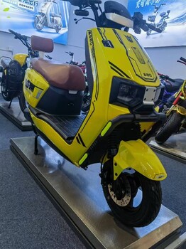 麗水加盟新陵電動(dòng)車(chē)