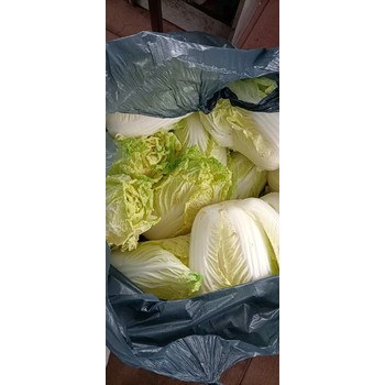 深圳公明糧油配送,生鮮批發公司