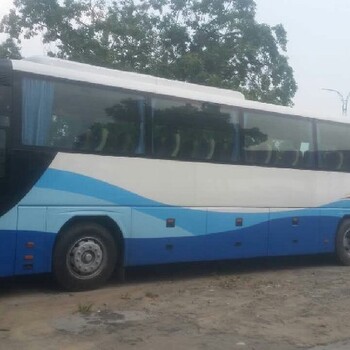 江城區(qū)企業(yè)租車日租月租年租均可