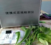 深圳南头工厂蔬菜批发配送,农产品批发价格