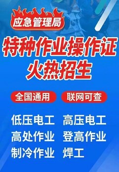 徐汇从事叉车培训学校