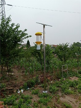巫溪太陽能殺蟲燈批發報價,景觀式殺蟲燈景點公園廣場