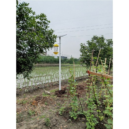 涪陵太陽能殺蟲燈,果園頻振式電擊捕蟲燈