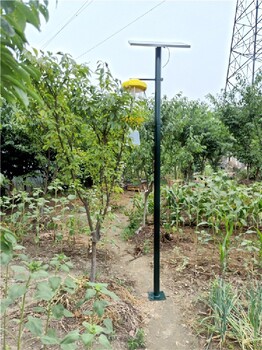 巫溪太陽能殺蟲燈批發報價,景觀式殺蟲燈景點公園廣場