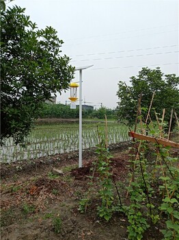 巫溪太陽能殺蟲燈批發報價,景觀式殺蟲燈景點公園廣場