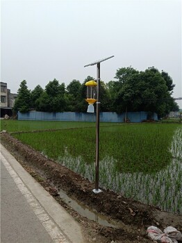 巫溪太陽能殺蟲燈批發報價,景觀式殺蟲燈景點公園廣場