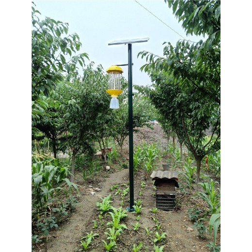 秀山太陽能殺蟲燈,太陽能供電,燈光誘蟲殺蟲
