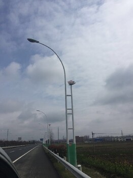 池州市电路灯报价,双头市电路灯厂家