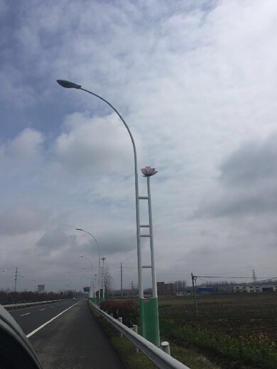 晉城市電路燈定制,市電路燈桿價格
