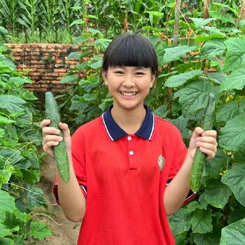 厌学逃学少年教育茂名春雨封闭式管理学校