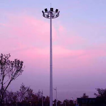 和田市電路燈定制,雙頭市電路燈價格