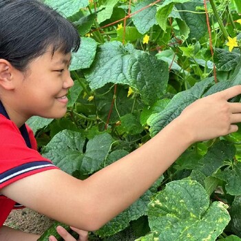 广东春雨孩子厌学青少年全寄宿全托学校