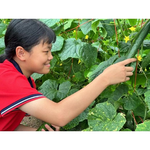 广东春雨孩子叛逆青少年特训学校