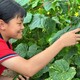廣州成天玩手機青少年教育學校電話原理圖