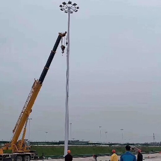 青島新款市電路燈,市電路燈廠家
