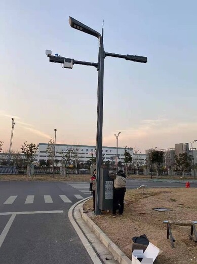 日照智慧路燈定制,智慧型庭院燈價格
