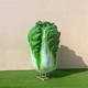 大白菜雕塑圖