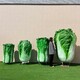 縣仿真大白菜雕塑圖