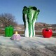曲陽(yáng)縣公園大白菜雕塑加工廠(chǎng)產(chǎn)品圖