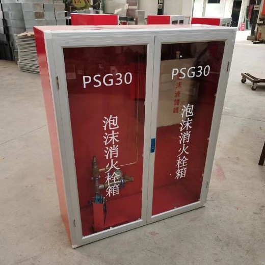 水成膜泡沫罐psg30泡沫消火栓箱