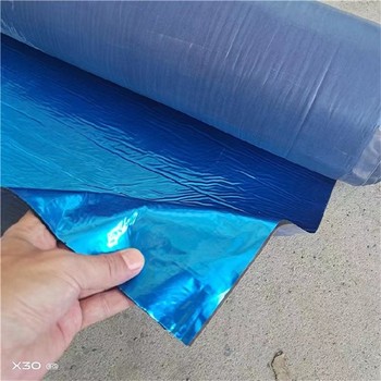 上海生產(chǎn)高分子自粘防水卷材供應(yīng)商