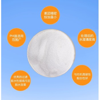 廣東離子型聚丙烯酰胺廠家供應(yīng),聚丙烯酰胺pam