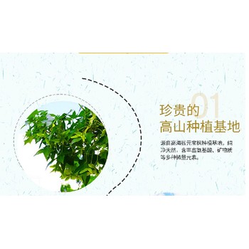 宜春长期食用元宝枫籽油的好处厂家直售